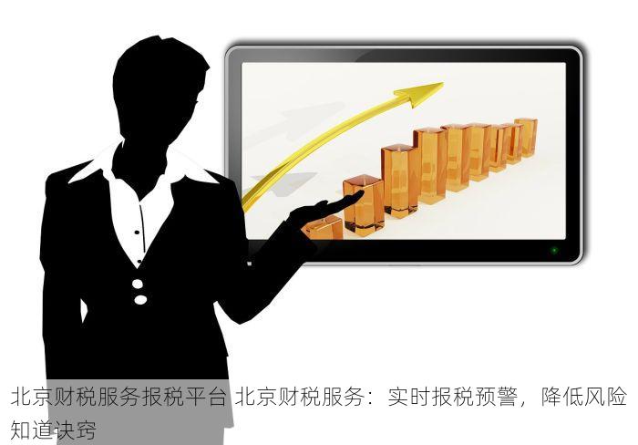 北京财税服务报税平台 北京财税服务：实时报税预警，降低风险知道诀窍