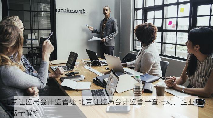北京证监局会计监管处 北京证监局会计监管严查行动，企业应对策略全解析