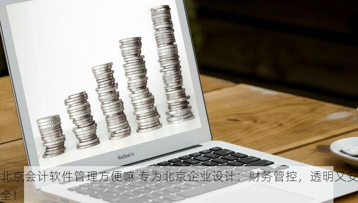 北京会计软件管理方便嘛 专为北京企业设计：财务管控，透明又安全！
