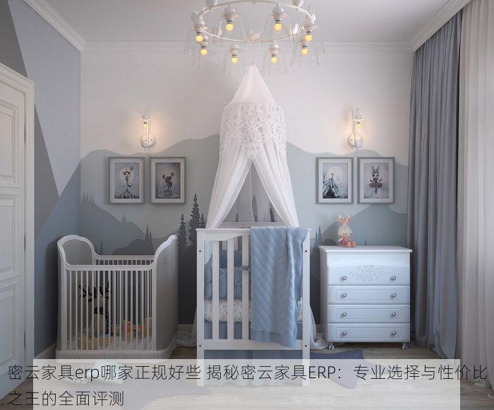 密云家具erp哪家正规好些 揭秘密云家具ERP：专业选择与性价比之王的全面评测