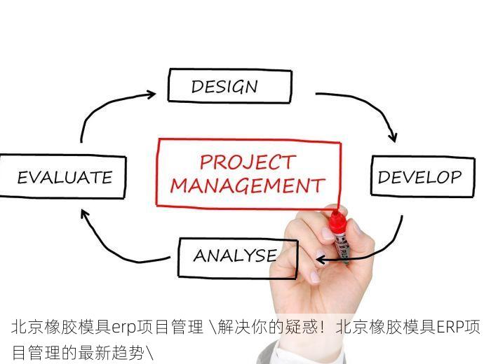 北京橡胶模具erp项目管理 \解决你的疑惑！北京橡胶模具ERP项目管理的最新趋势\