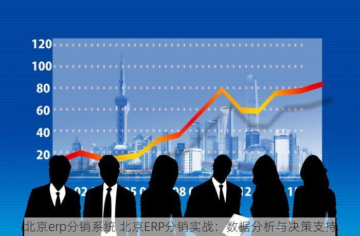 北京erp分销系统 北京ERP分销实战：数据分析与决策支持