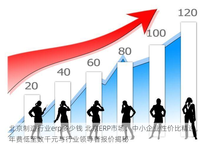 北京制造行业erp多少钱 北京ERP市场：中小企业性价比精选，年费低至数千元与行业领导者报价揭秘