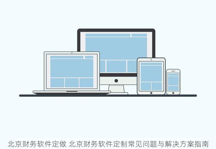 北京财务软件定做 北京财务软件定制常见问题与解决方案指南
