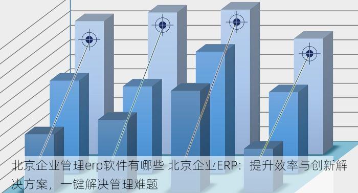 北京企业管理erp软件有哪些 北京企业ERP：提升效率与创新解决方案，一键解决管理难题