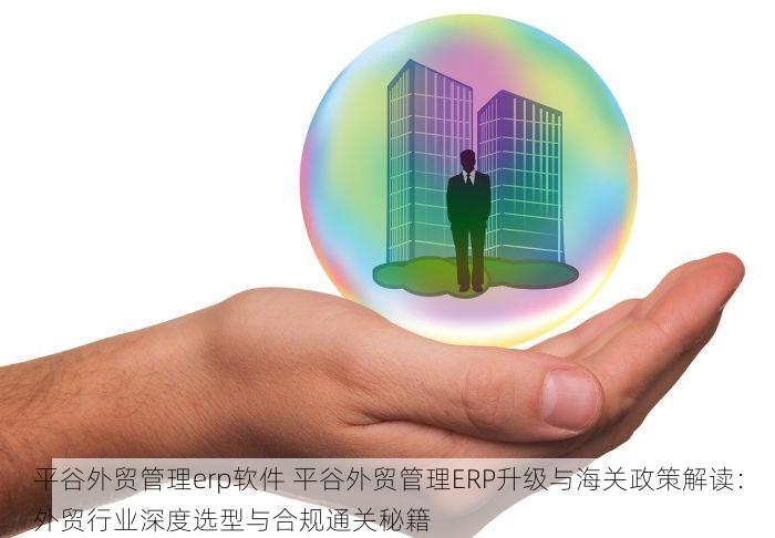 平谷外贸管理erp软件 平谷外贸管理ERP升级与海关政策解读：外贸行业深度选型与合规通关秘籍