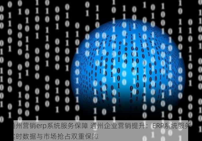 通州营销erp系统服务保障 通州企业营销提升：ERP系统服务，实时数据与市场抢占双重保障