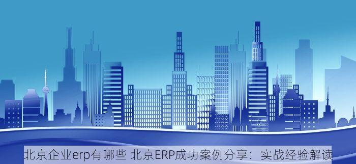 北京企业erp有哪些 北京ERP成功案例分享：实战经验解读