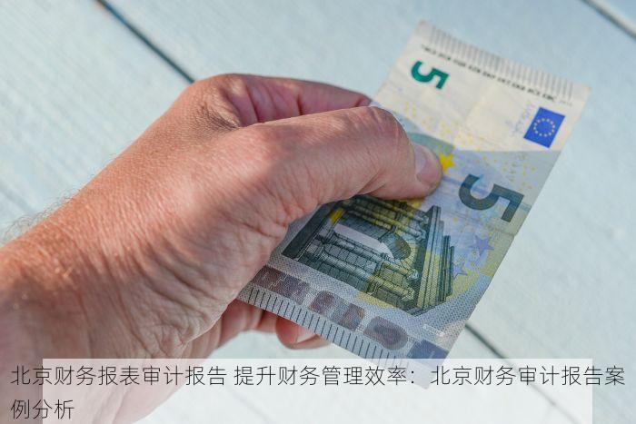 北京财务报表审计报告 提升财务管理效率：北京财务审计报告案例分析