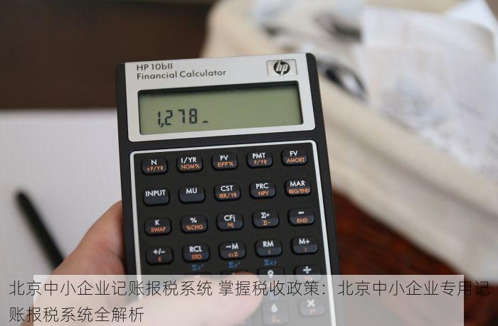 北京中小企业记账报税系统 掌握税收政策：北京中小企业专用记账报税系统全解析