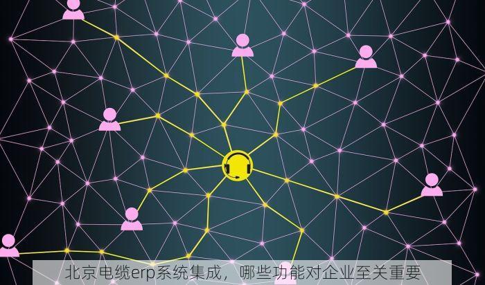 北京电缆erp系统集成，哪些功能对企业至关重要