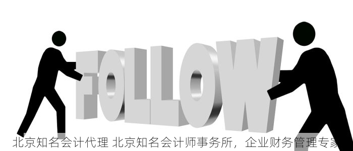 北京知名会计代理 北京知名会计师事务所，企业财务管理专家