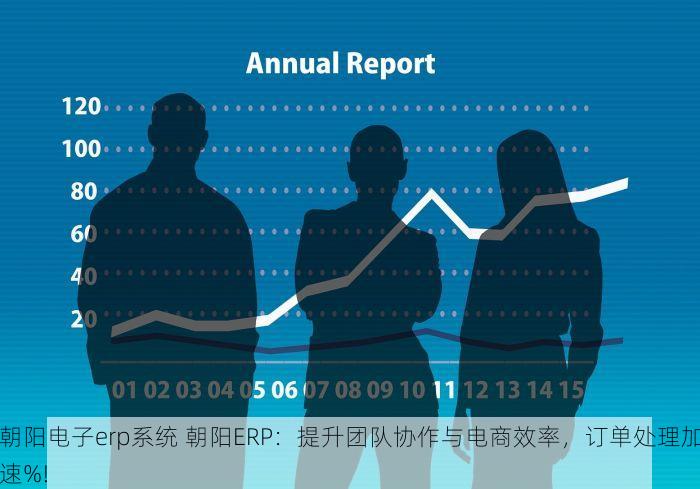 朝阳电子erp系统 朝阳ERP：提升团队协作与电商效率，订单处理加速%!