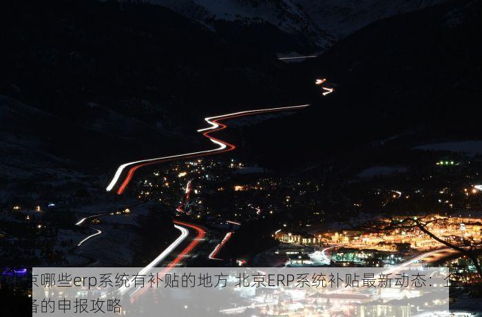北京哪些erp系统有补贴的地方 北京ERP系统补贴最新动态：企业必备的申报攻略