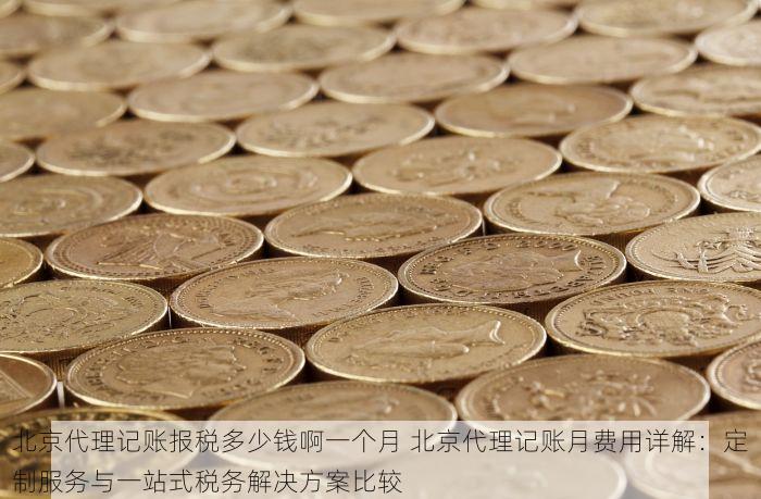 北京代理记账报税多少钱啊一个月 北京代理记账月费用详解：定制服务与一站式税务解决方案比较