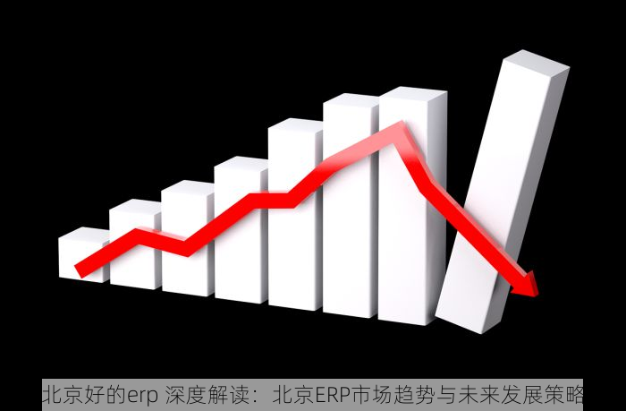 北京好的erp 深度解读：北京ERP市场趋势与未来发展策略