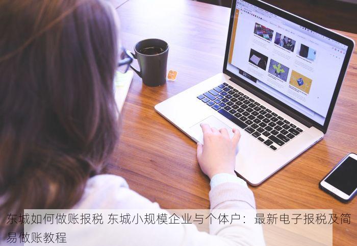 东城如何做账报税 东城小规模企业与个体户：最新电子报税及简易做账教程