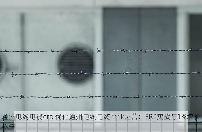 通州电线电缆erp 优化通州电线电缆企业运营：ERP实战与1%增长秘籍
