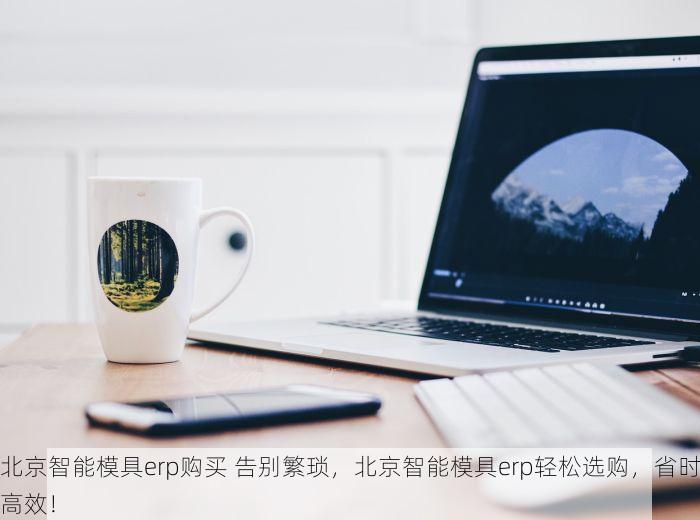 北京智能模具erp购买 告别繁琐，北京智能模具erp轻松选购，省时高效！