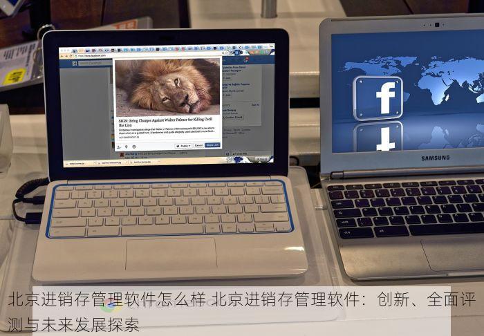 北京进销存管理软件怎么样 北京进销存管理软件：创新、全面评测与未来发展探索