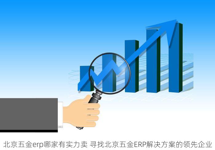 北京五金erp哪家有实力卖 寻找北京五金ERP解决方案的领先企业