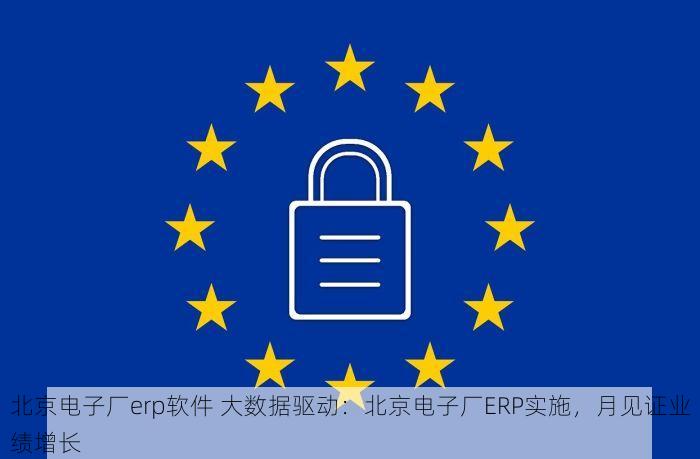 北京电子厂erp软件 大数据驱动：北京电子厂ERP实施，月见证业绩增长
