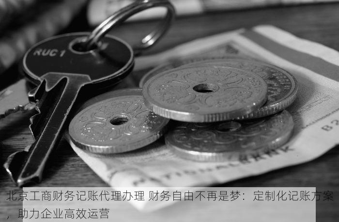 北京工商财务记账代理办理 财务自由不再是梦：定制化记账方案，助力企业高效运营