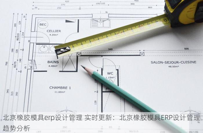 北京橡胶模具erp设计管理 实时更新：北京橡胶模具ERP设计管理趋势分析