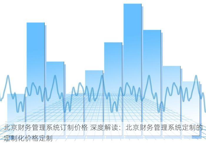北京财务管理系统订制价格 深度解读：北京财务管理系统定制的定制化价格定制