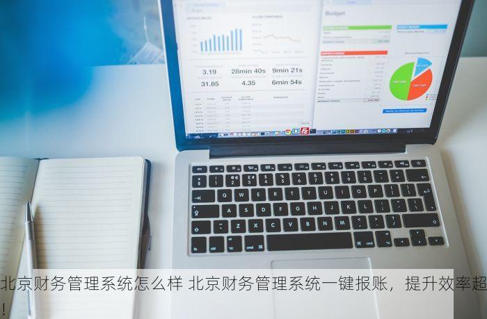 北京财务管理系统怎么样 北京财务管理系统一键报账，提升效率超！