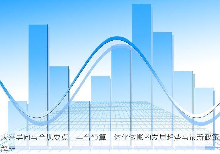 未来导向与合规要点：丰台预算一体化做账的发展趋势与最新政策解析