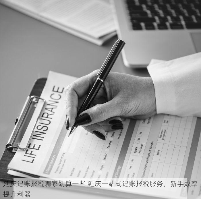 延庆记账报税哪家划算一些 延庆一站式记账报税服务，新手效率提升利器
