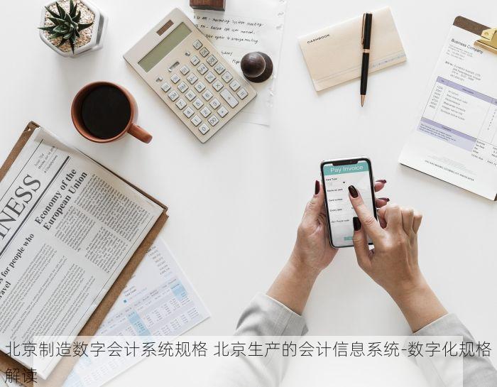 北京制造数字会计系统规格 北京生产的会计信息系统-数字化规格解读