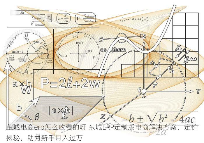 东城电商erp怎么收费的呀 东城ERP定制版电商解决方案：定价揭秘，助力新手月入过万