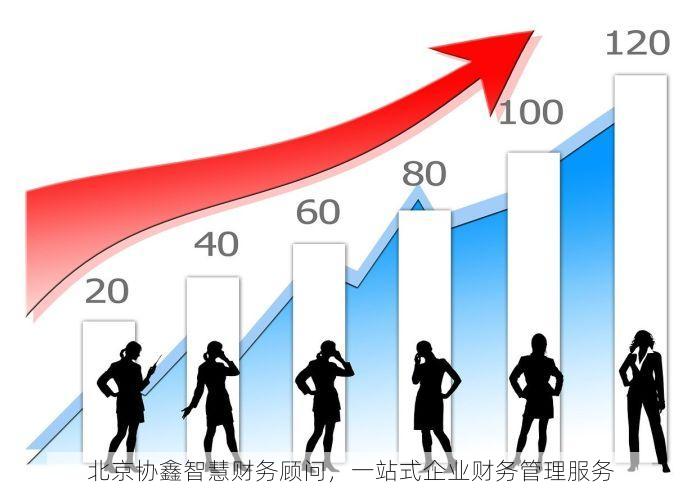 北京协鑫智慧财务顾问，一站式企业财务管理服务