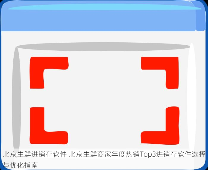 北京生鲜进销存软件 北京生鲜商家年度热销Top3进销存软件选择与优化指南