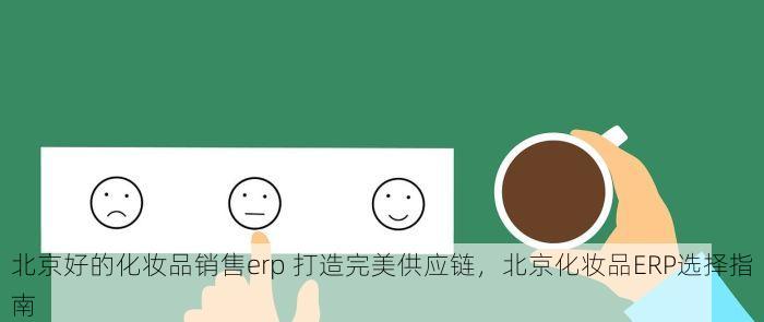 北京好的化妆品销售erp 打造完美供应链，北京化妆品ERP选择指南