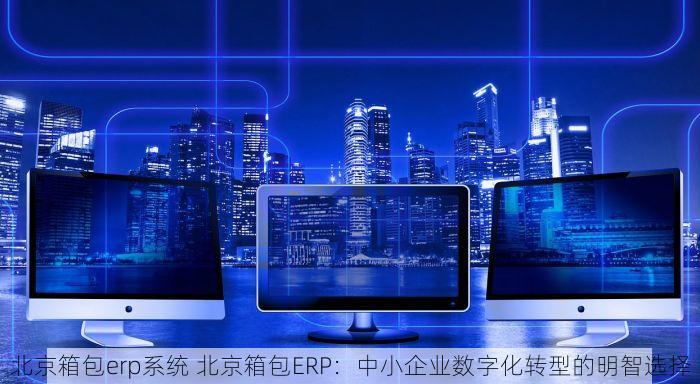 北京箱包erp系统 北京箱包ERP：中小企业数字化转型的明智选择