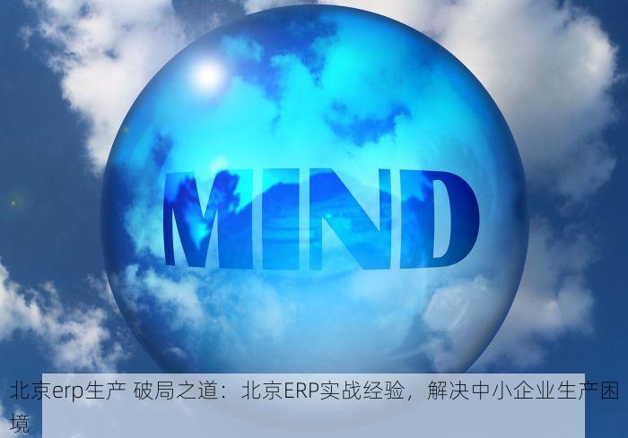 北京erp生产 破局之道：北京ERP实战经验，解决中小企业生产困境