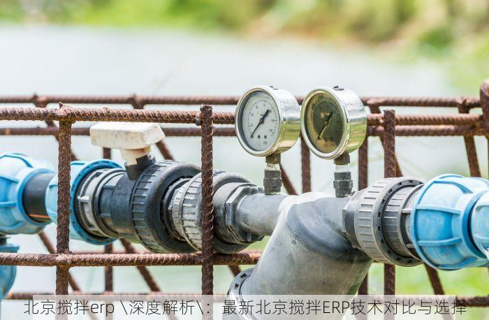 北京搅拌erp \深度解析\：最新北京搅拌ERP技术对比与选择