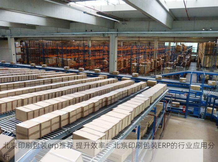 北京印刷包装erp推荐 提升效率：北京印刷包装ERP的行业应用分析