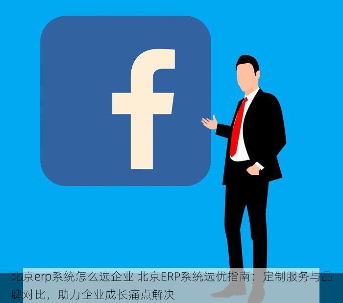北京erp系统怎么选企业 北京ERP系统选优指南：定制服务与品牌对比，助力企业成长痛点解决