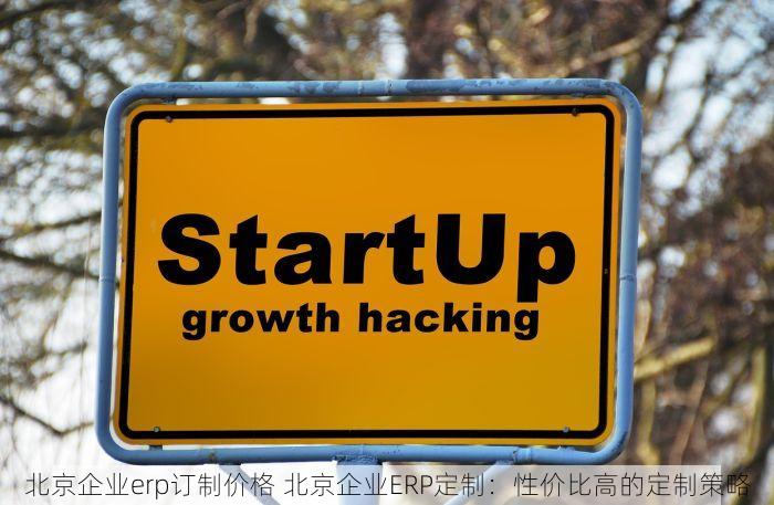 北京企业erp订制价格 北京企业ERP定制：性价比高的定制策略