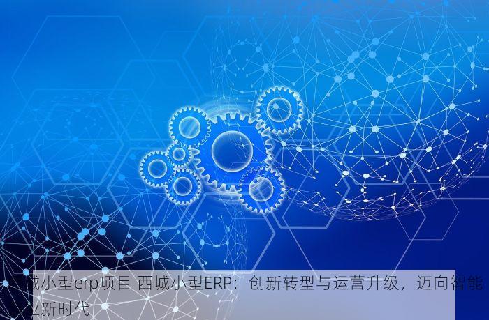 西城小型erp项目 西城小型ERP：创新转型与运营升级，迈向智能商业新时代