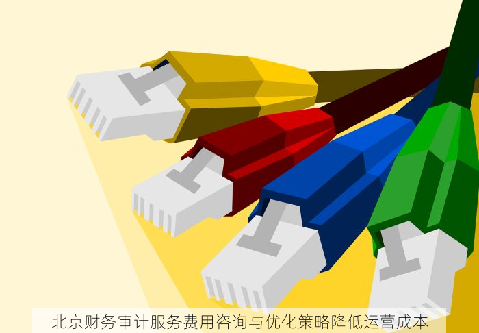 北京财务审计服务费用咨询与优化策略降低运营成本