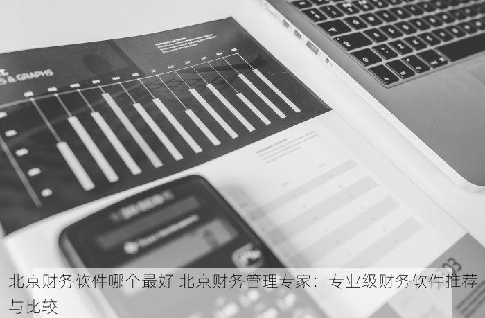 北京财务软件哪个最好 北京财务管理专家：专业级财务软件推荐与比较