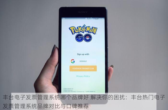 丰台电子发票管理系统哪个品牌好 解决你的困扰：丰台热门电子发票管理系统品牌对比与口碑推荐
