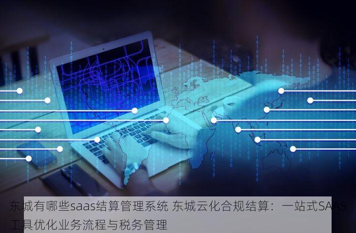 东城有哪些saas结算管理系统 东城云化合规结算：一站式SAAS工具优化业务流程与税务管理