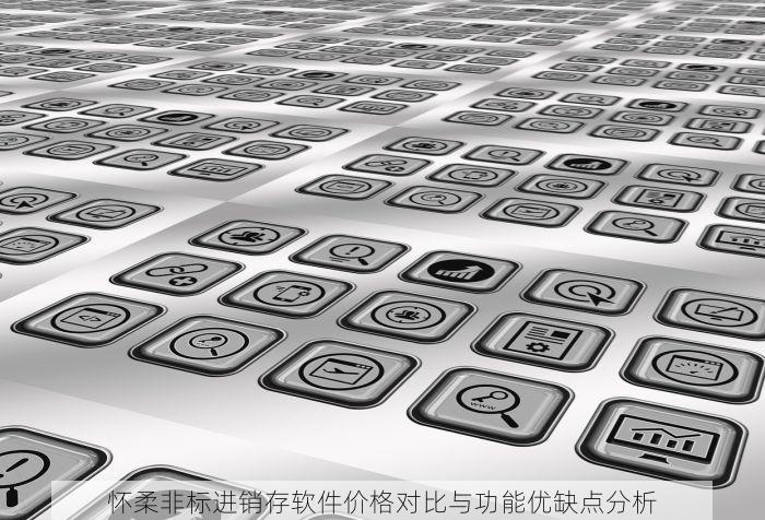 怀柔非标进销存软件价格对比与功能优缺点分析