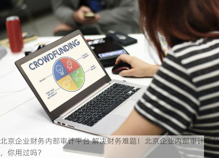北京企业财务内部审计平台 解决财务难题！北京企业内部审计平台，你用过吗？